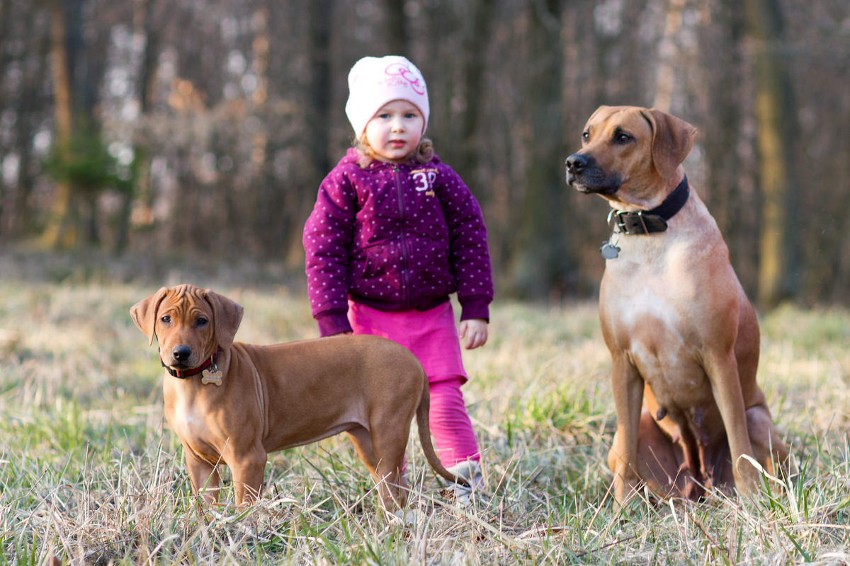 Amy a Bella březen 2016